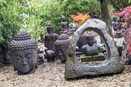 Außenbereich Lotte - "Bambus" auf dem Hof