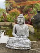 Eyebright - Buddha statues