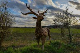 Pferde, Hirsche und Giraffen
