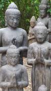 Standing Buddhas
