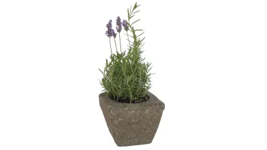 Planter, square, smooth, 15 cm L 