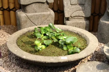 Schale Modell Lotus, bossierte Außenfläche, 30 cm Ø 