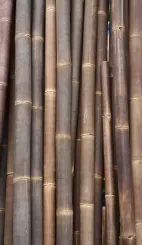 Bambusrohr "M", "Wulung" Gigantochloa atroviolacea,,, Die Farbe ist braunschwarz. Die Länge beträgt 195 cm. 