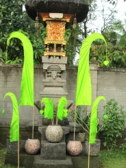 Original Balifahne, maigrün, inkl. 2teiligem Fahnenstab. Das Komplettset ist in den Größen 120 cm und 200 cm erhältlich. 