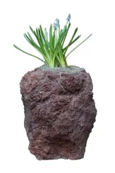 Natursteinschale aus Batu Merah, ca. 26 cm hoch 