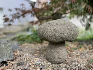 Pilz-Objekt, aus einem Stück, Größe L 