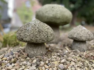 Pilz-Objekt, aus einem Stück, Größe M 