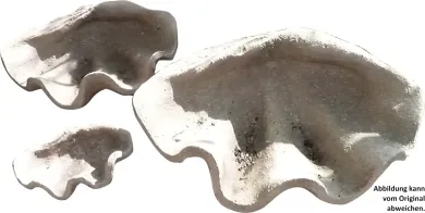 SALE – Muscheldeko, 95 cm 