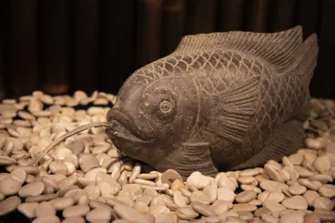 Fisch als Wasserspeier, 45 cm 