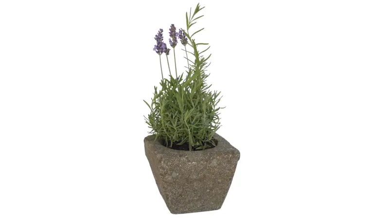 Planter, square, smooth, 15 cm L 