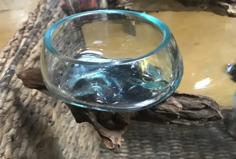 Driftwood with wide glass as plant pot 