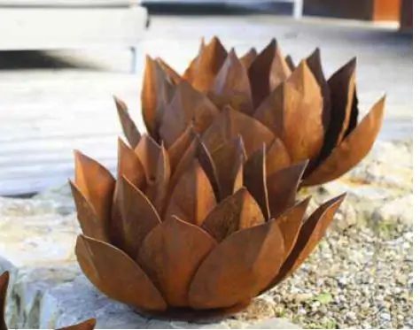 Edelrost Agave, Ø bis 60cm 