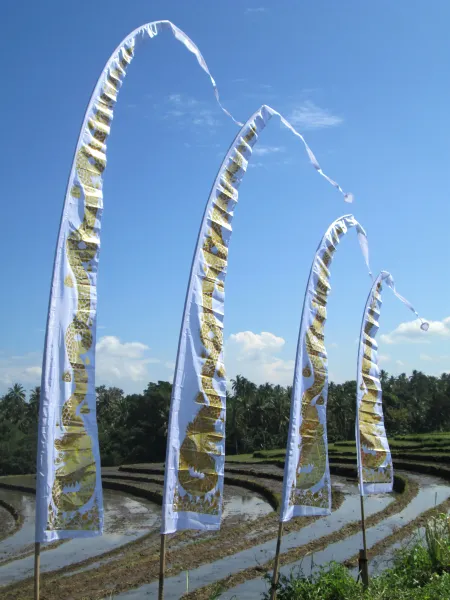 Original Balifahne mit Drachendruck weiß | 5 Meter