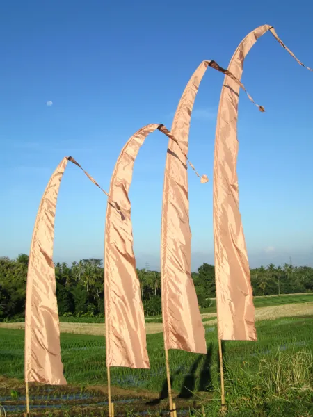  champagner | 4 Meter