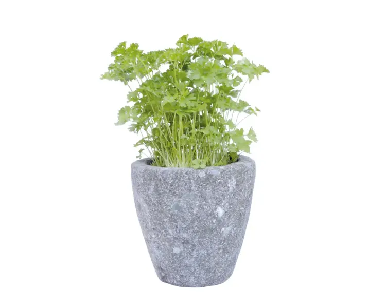 Planter, round, smooth, concave, 13 cm H 