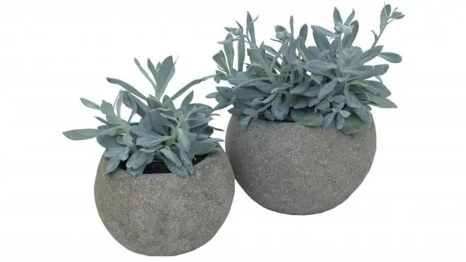 Pflanzgefäß, rund, glatt, 20 cm Ø 