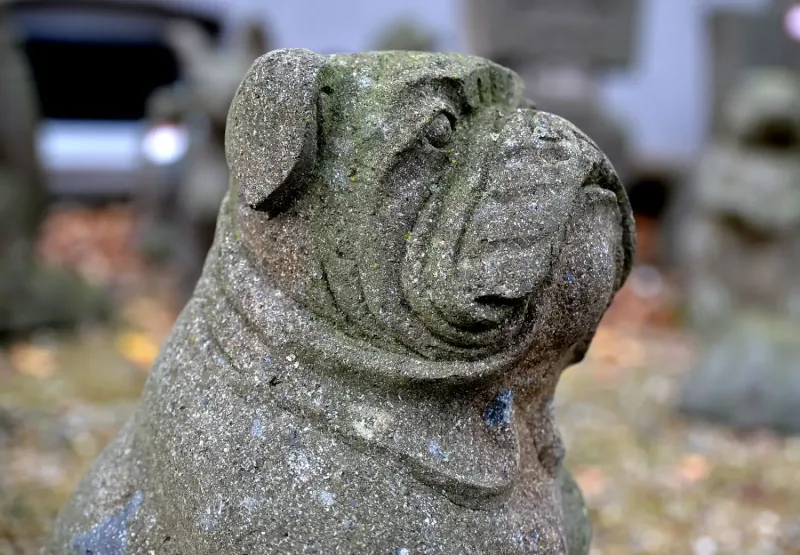 Sitz. Bulldogge auf Sockel, ca. 60 cm hoch 