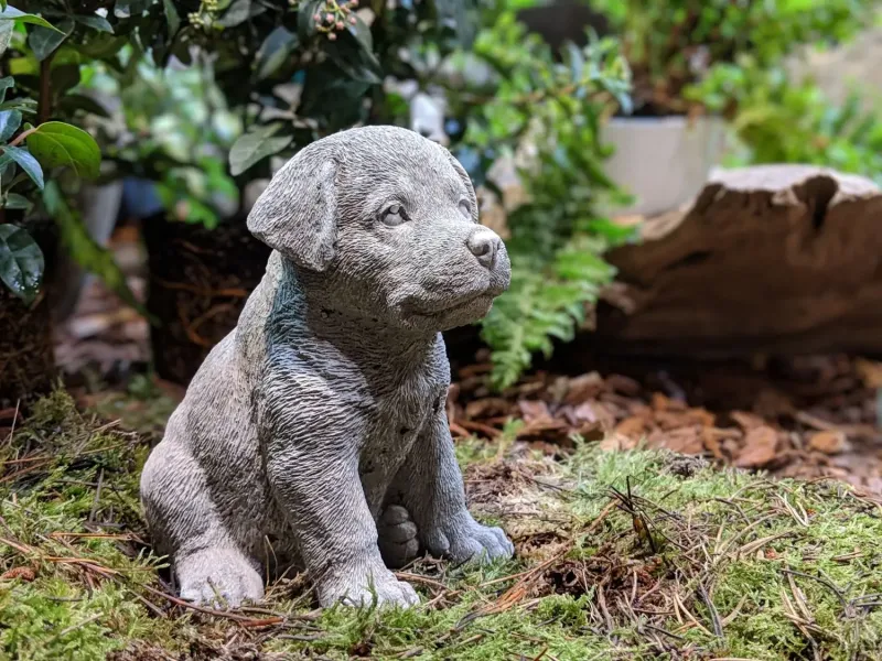 Kleiner Rottweiler, Tierfigur, 16 cm 