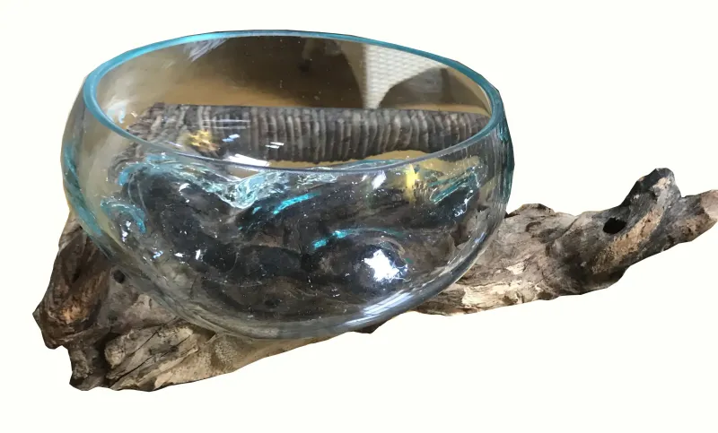 Driftwood with wide glass as plant pot 