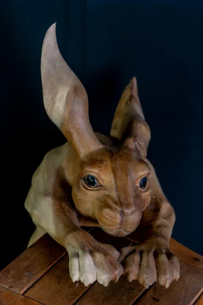 Unikat: kletternder Hase – Kunstobjekt aus Suarholz, 55 cm 