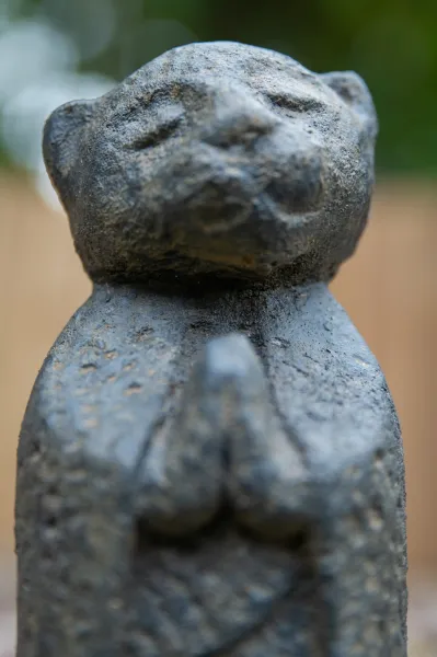 Stehender Katzenmönch, eher schlank, 20 cm 