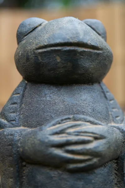 Stehender Frosch als Mönch, 20 cm 