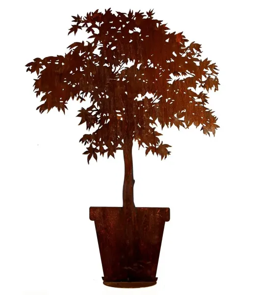 Japanischer Ahorn im Topf mit Rohr für 12mm Stab 